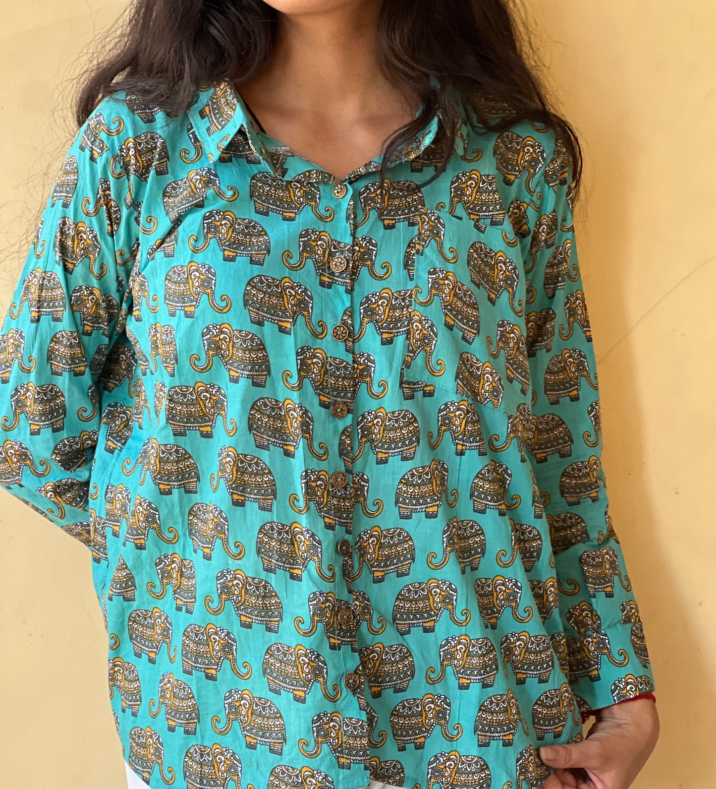 Animal Print Shirt with full sleeve